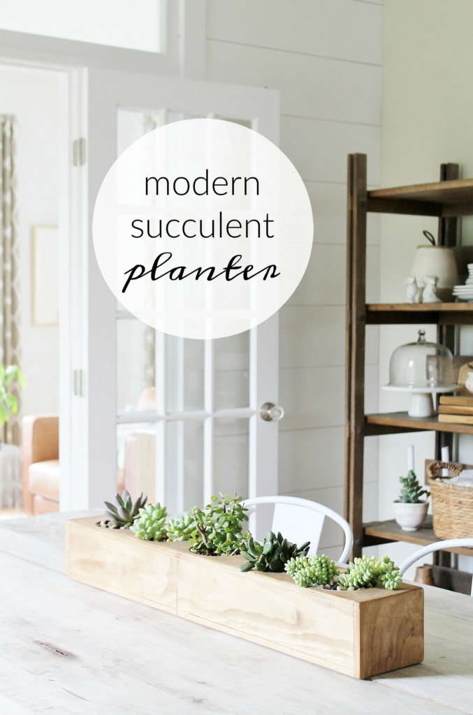 Modern-Succulent-Planter-677x1024