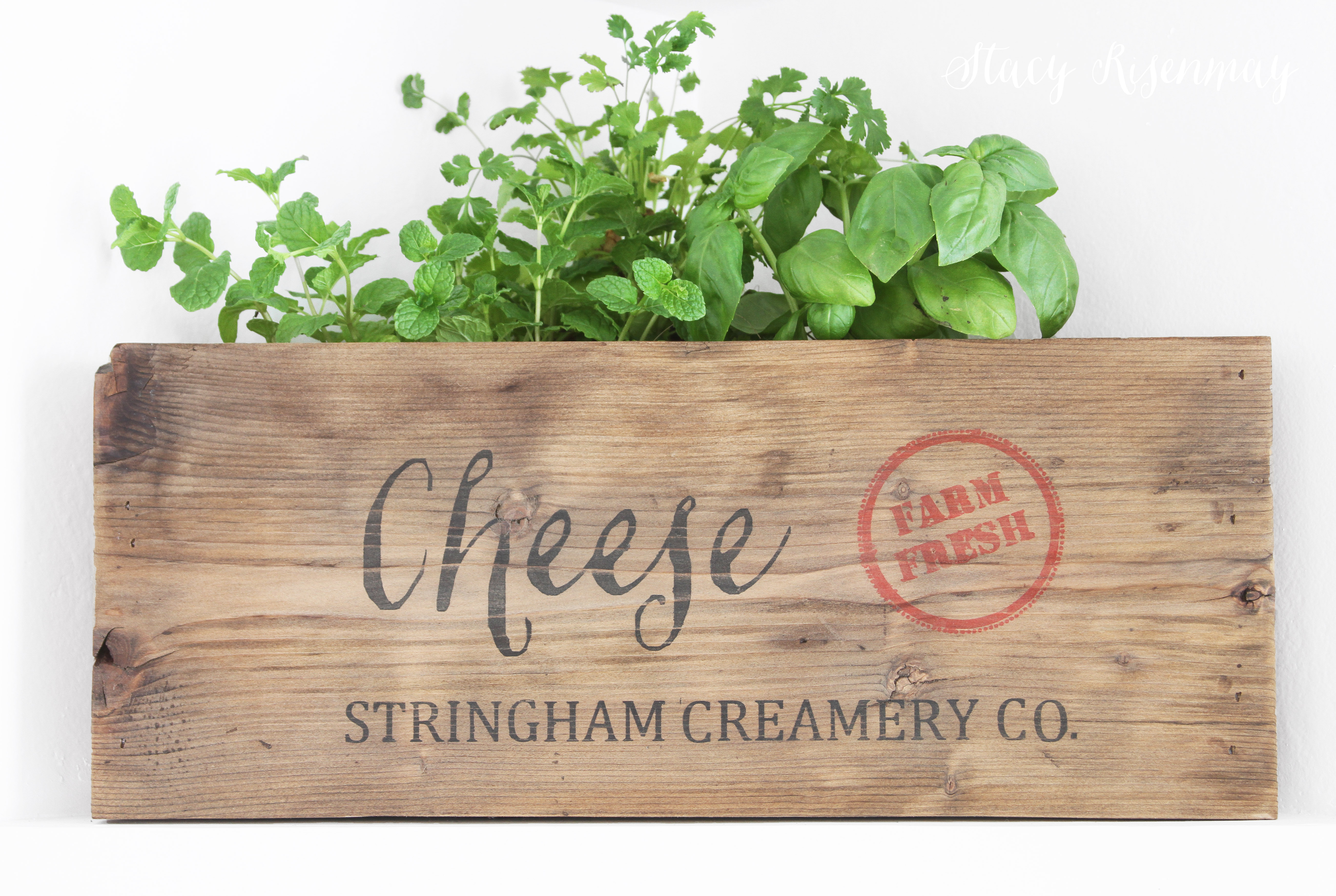 cheese crate used as planter for herbs